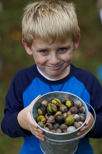 Pail of acorns photo