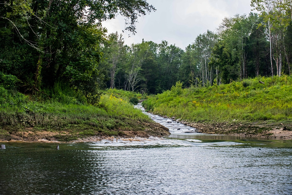 Hatchery Creek pouring into Cumberland River Tailwater-3