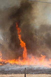 Prescribed burn at NCTC -5