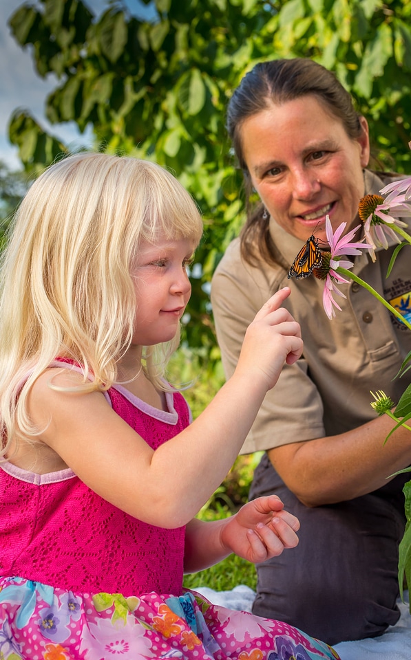 FWS employee watches as little girl tries to touch monarch