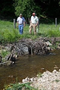 Brook Trout Restoration-2