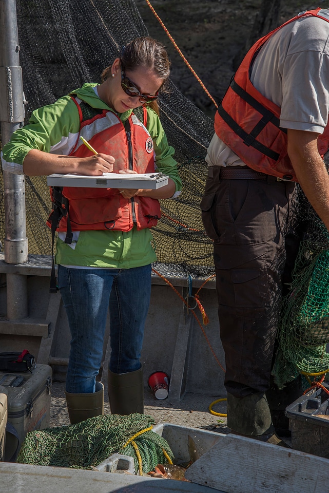 USGS scientists document invasive carp data on Missouri River