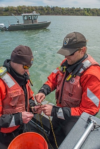 USFWS Fisheries crew baiting lines for lake sturgeon-2