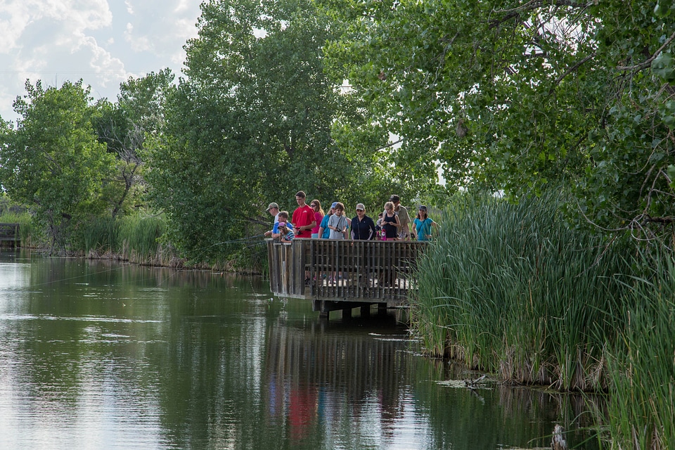 Fishing from a dock
