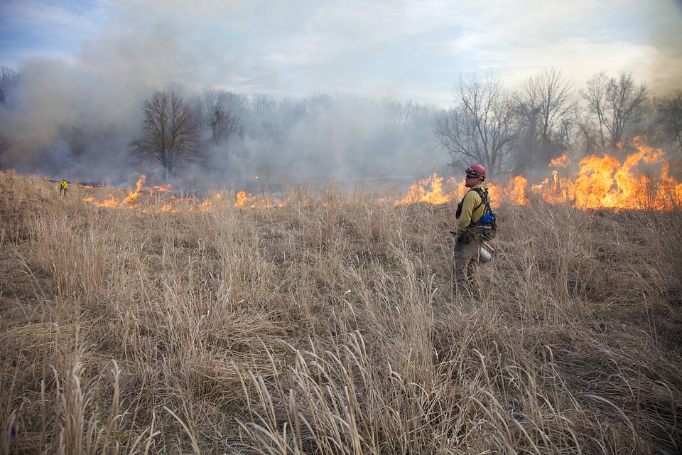 Firefighter in burn area-1