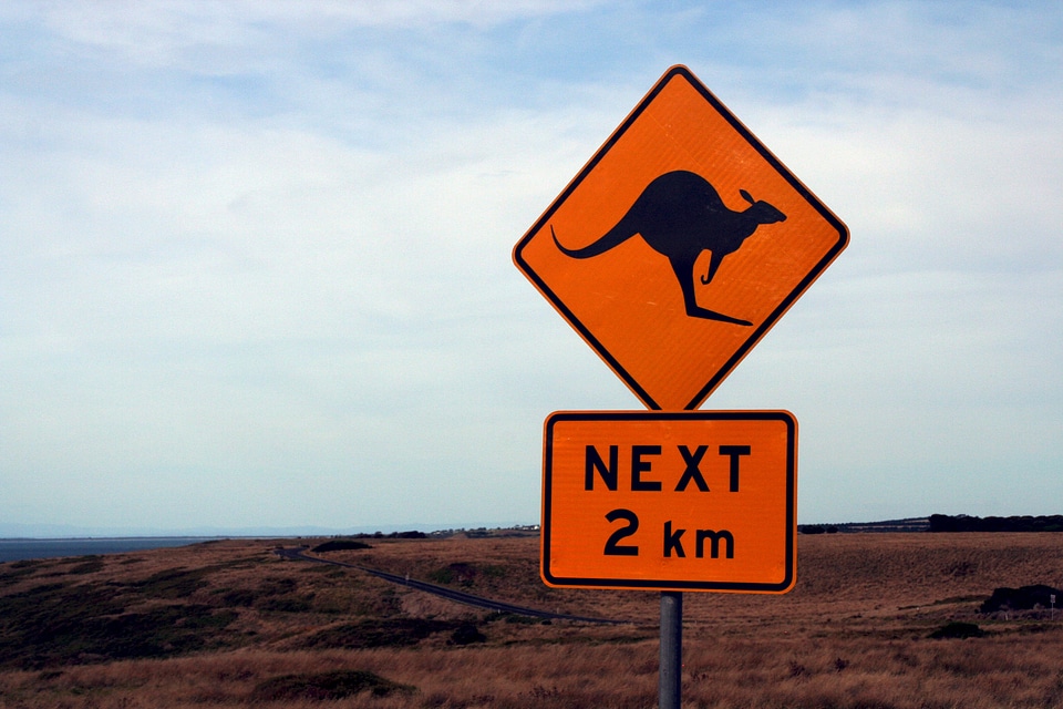 Warning australia kangaroo