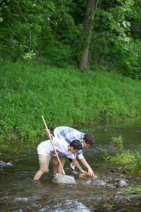Looking for macroinvertebrates-2