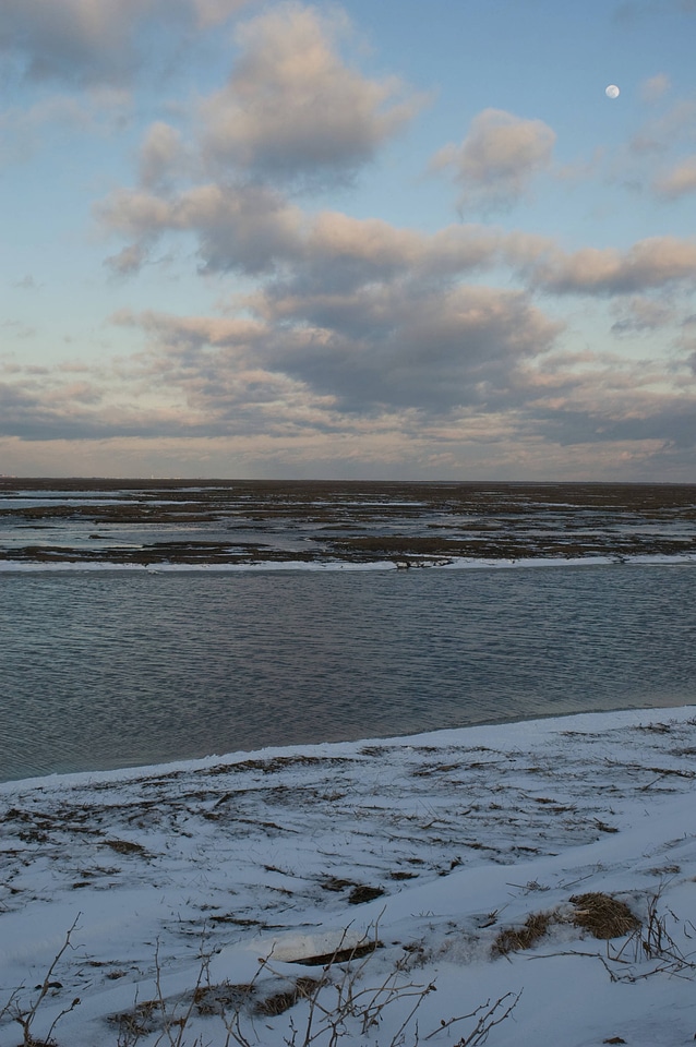 Edwin B. Forsythe National Wildlife Refuge-2