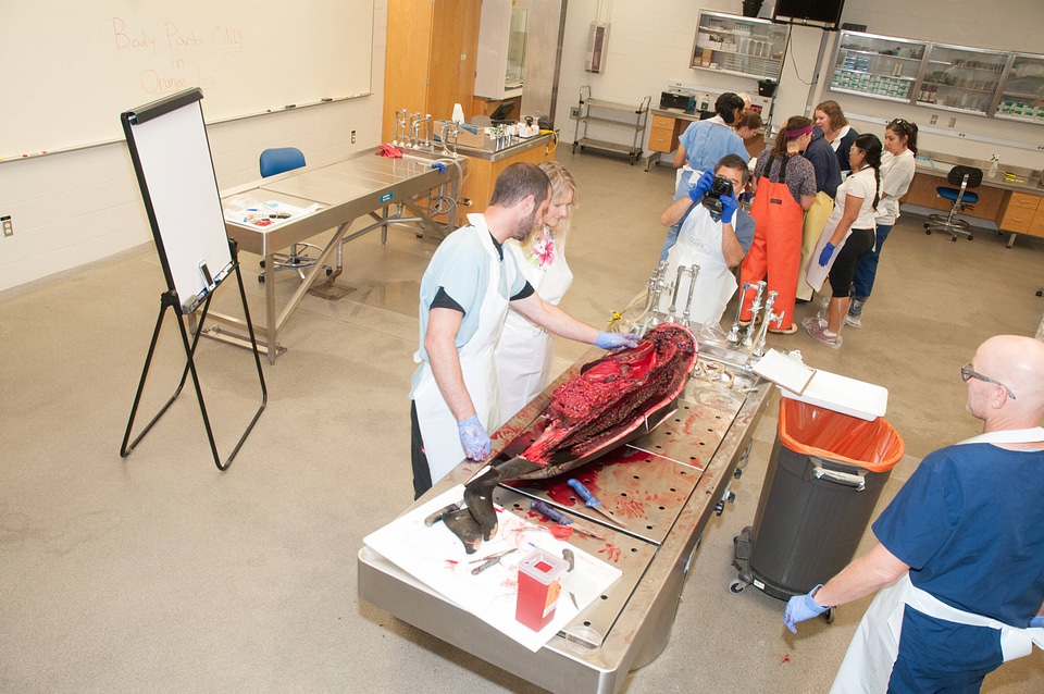 Marine Mammal Stranding Course at NCTC-2