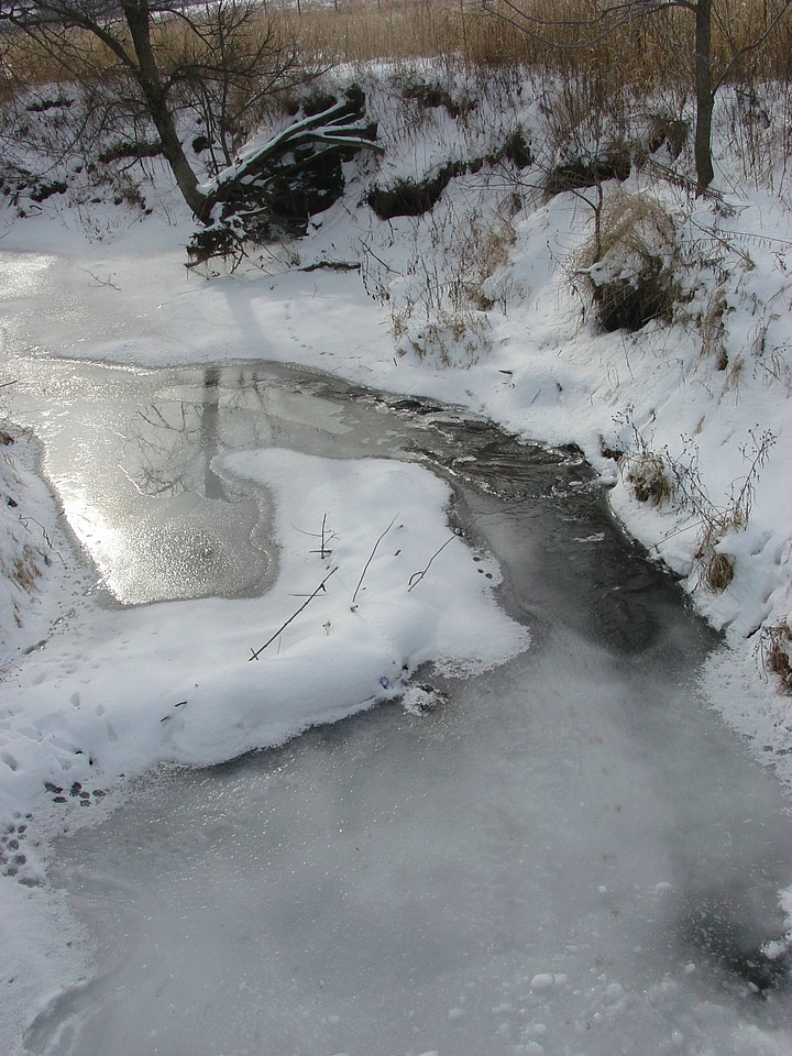 Frozen stream at Neal Smith National Wildlife Refuge