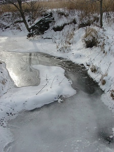 Frozen stream at Neal Smith National Wildlife Refuge photo