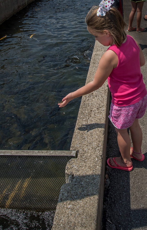 Girl feeding fish at raceways