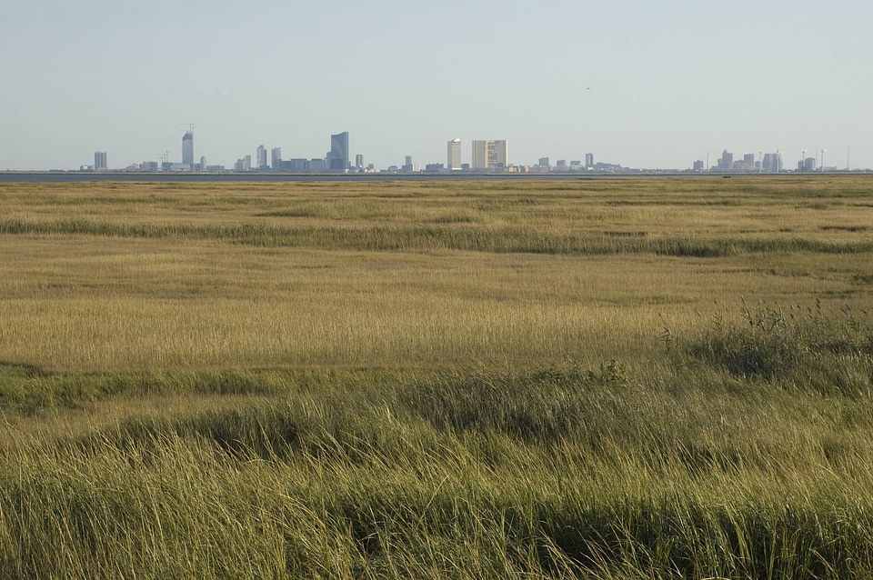 View of the Atlantic City skyline from the Edwin B. Forsythe National Wildlife Refuge