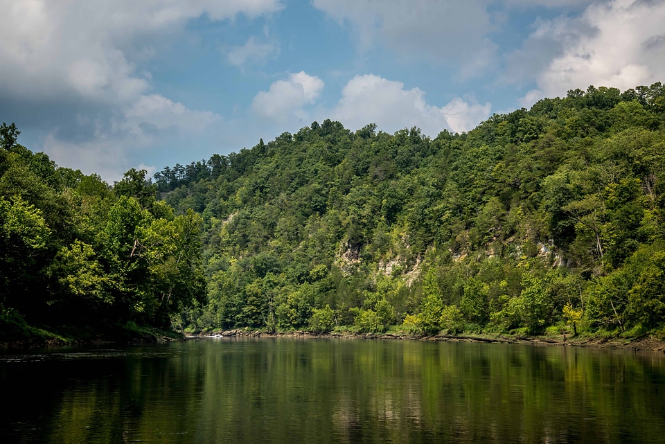 Scenic view of the Cumberland River Tailwater-11