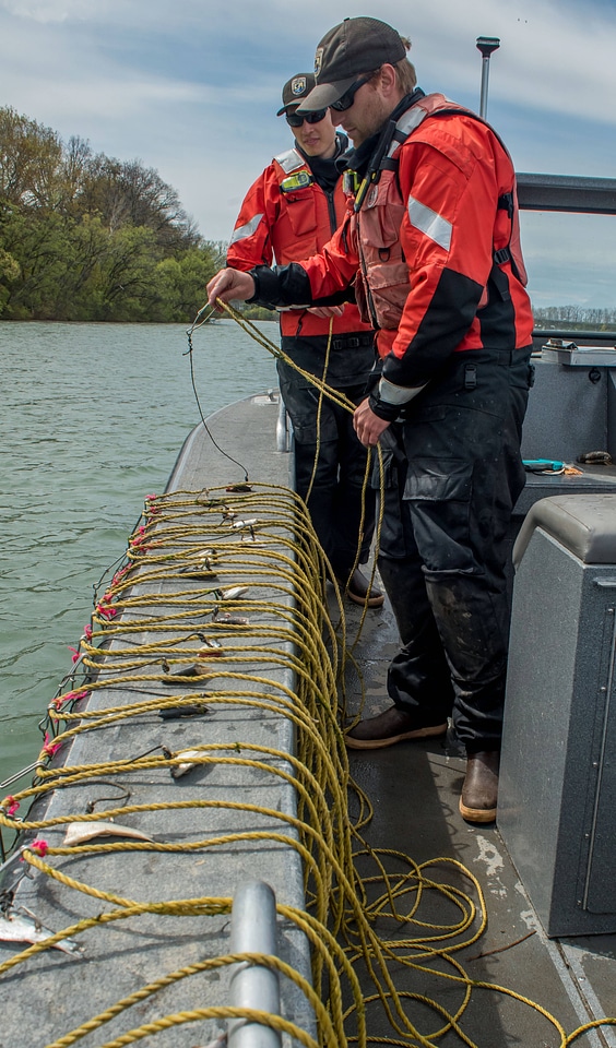 USFWS Fisheries crew baiting lines for lake sturgeon-1