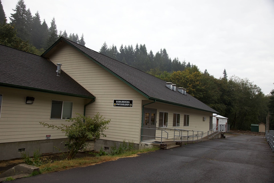 Ecological Physiology Lab