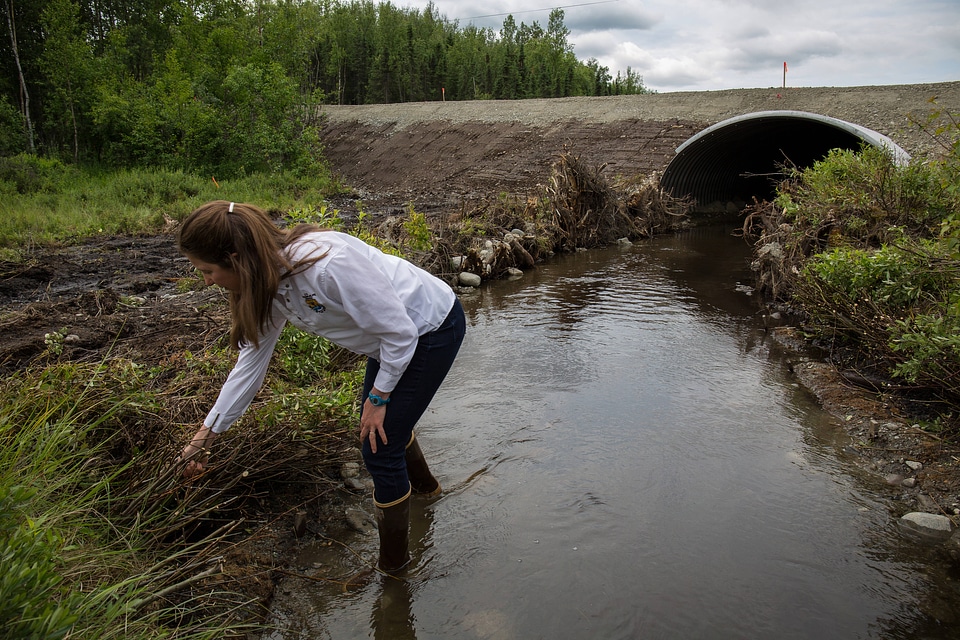 Fish passage engineer inspects new salmon friendly culvert-8