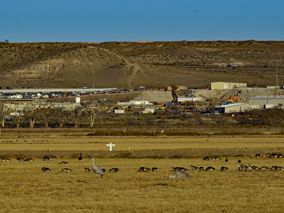 Agricultural fields with wildlife and industrial buildings 