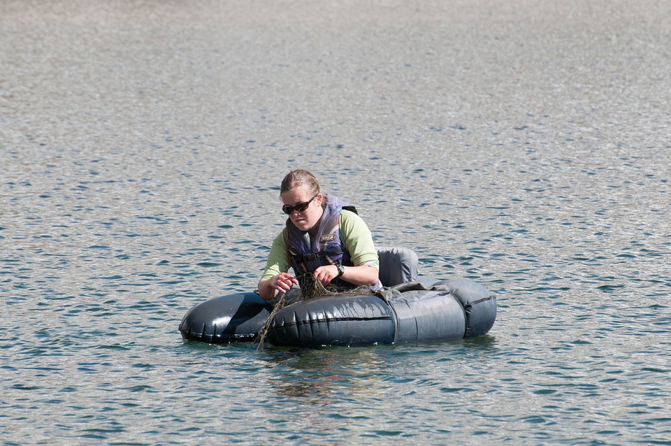 Biologist retrieves seine net