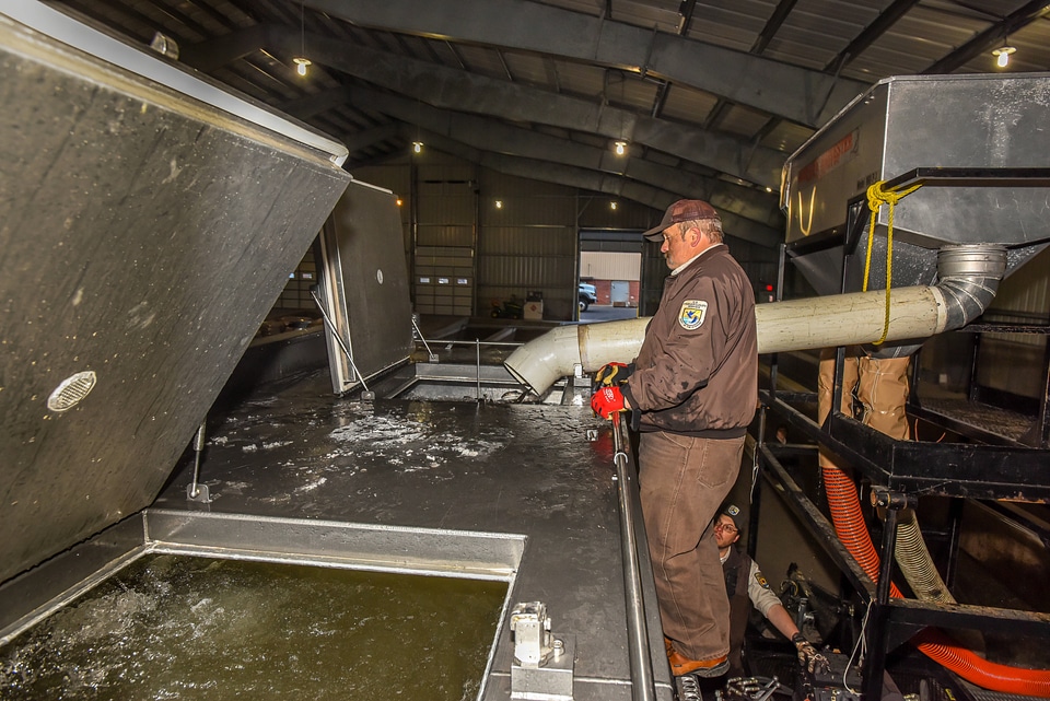 Service personnel prepare fish pump to load fish onto hatchery-3