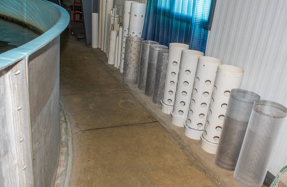 PVC hardware in Broodstock area in Sturgeon Building