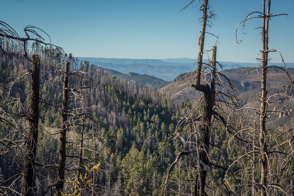 Area of Gila National Forest burned by Whitewater Baldy fire of 2012-1