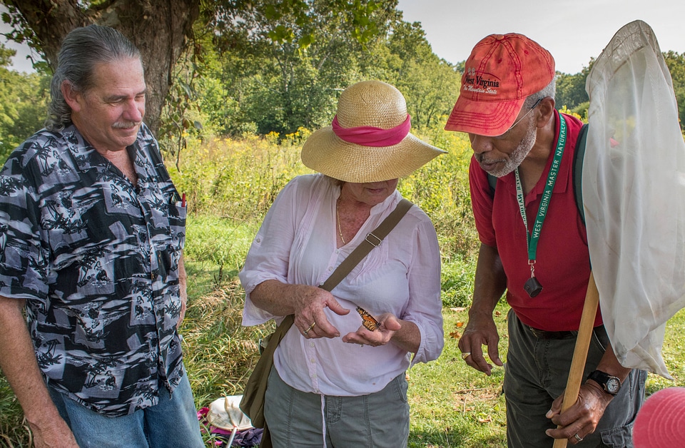 Volunteers admiring monarch butterfly