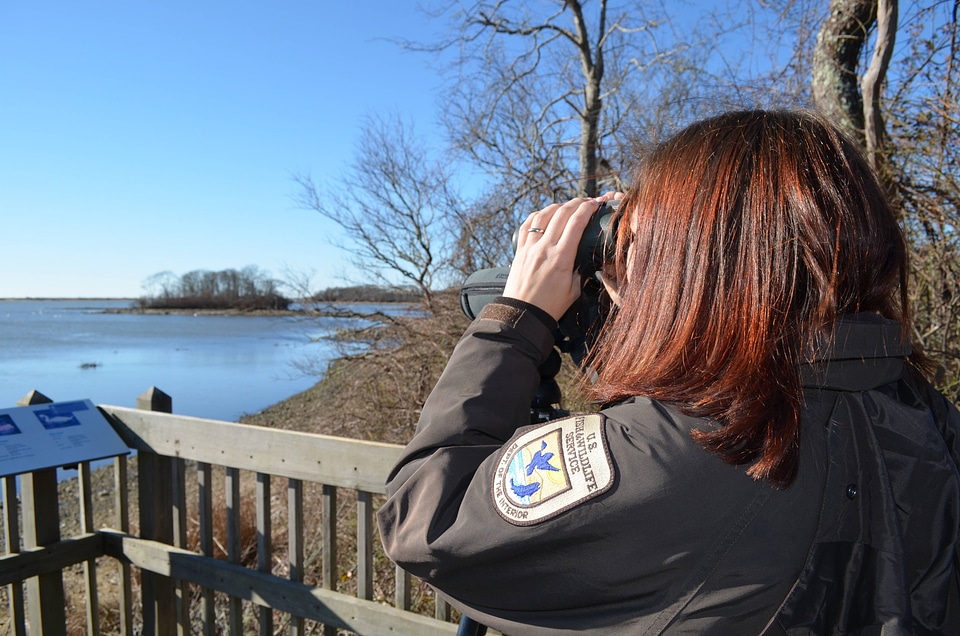 Binocular viewing