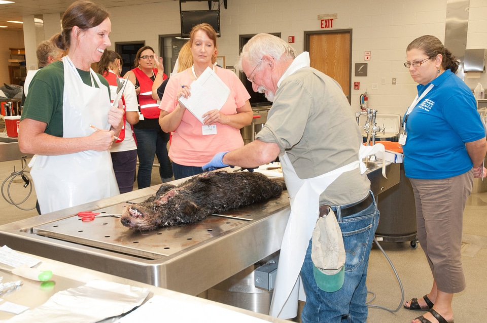 Marine Mammal Stranding Course at NCTC-1