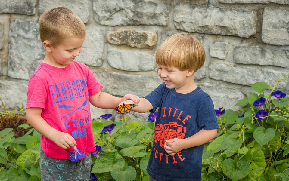 Boys at rock wall holding monarch butterfly-3