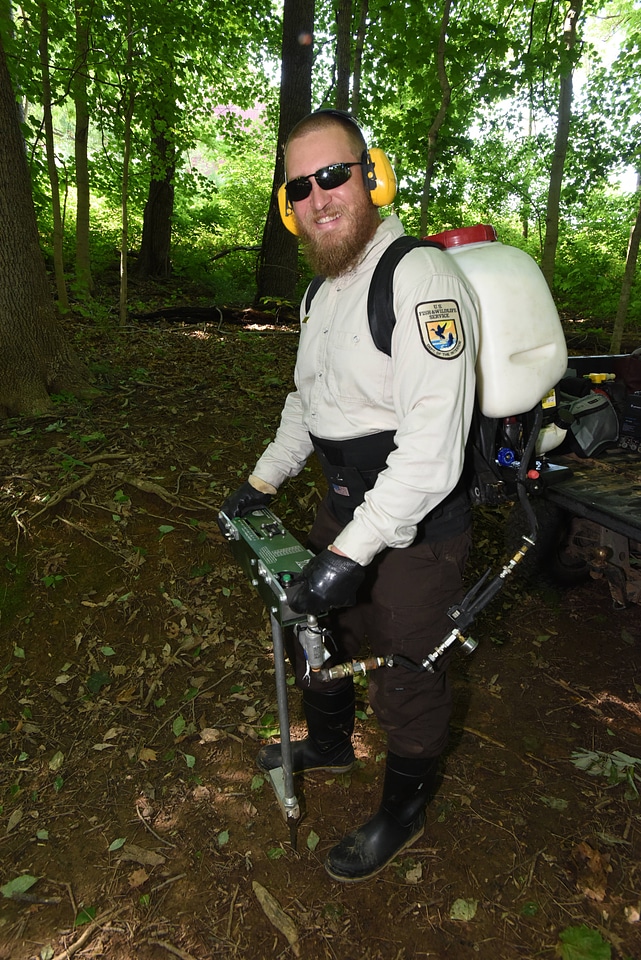 NCTC land management specialist uses motorized injector to treat ash trees-5