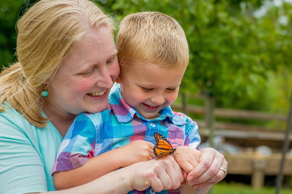 Woman and little boy looking at monarch butterfly on hand