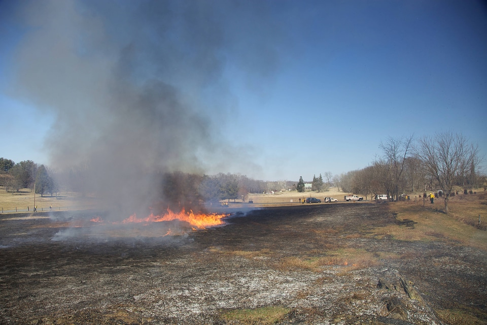 Prescribed burn area-1
