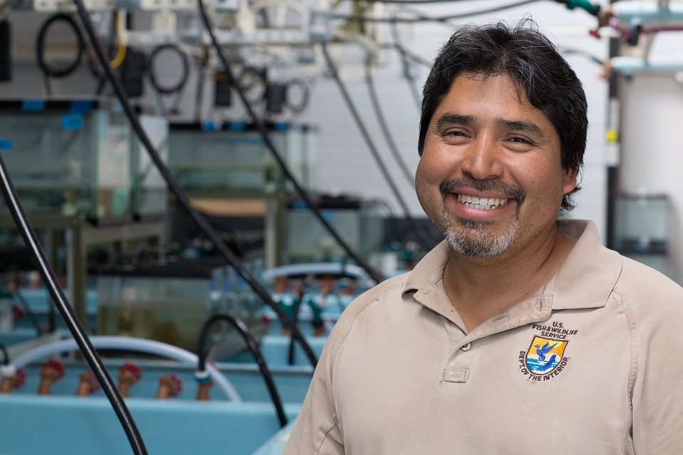 USFWS biologist in the San Marcos Aquatic Resource Center-1