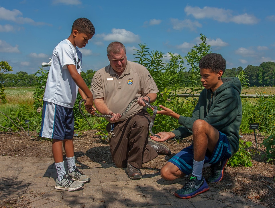 FWS staff with young boys handling black rat snake-1