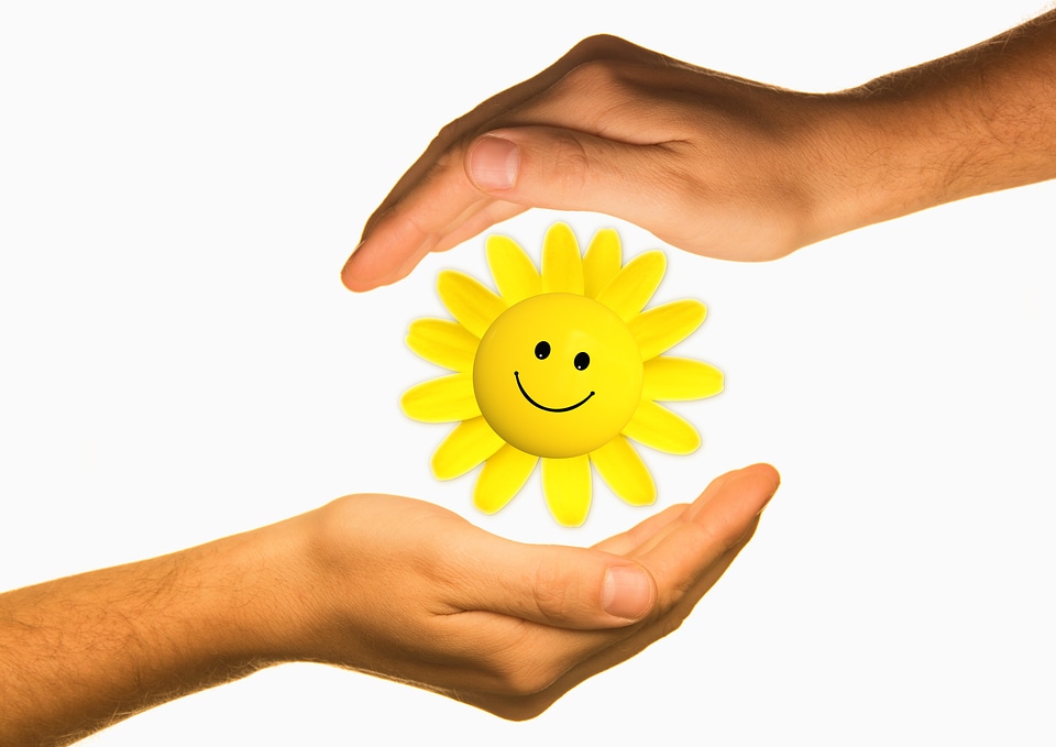 Ecology protection sun