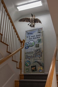 Stairwell in visitor center