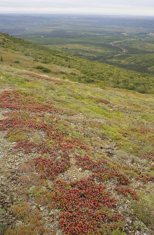 Mountain terrain