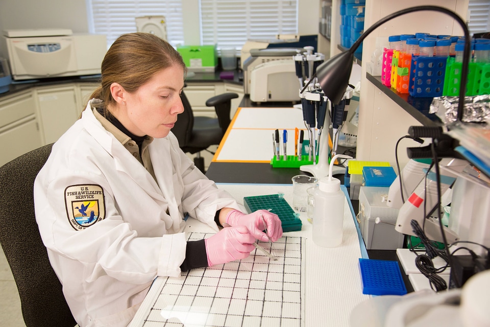 Geneticist at work in laboratory-6