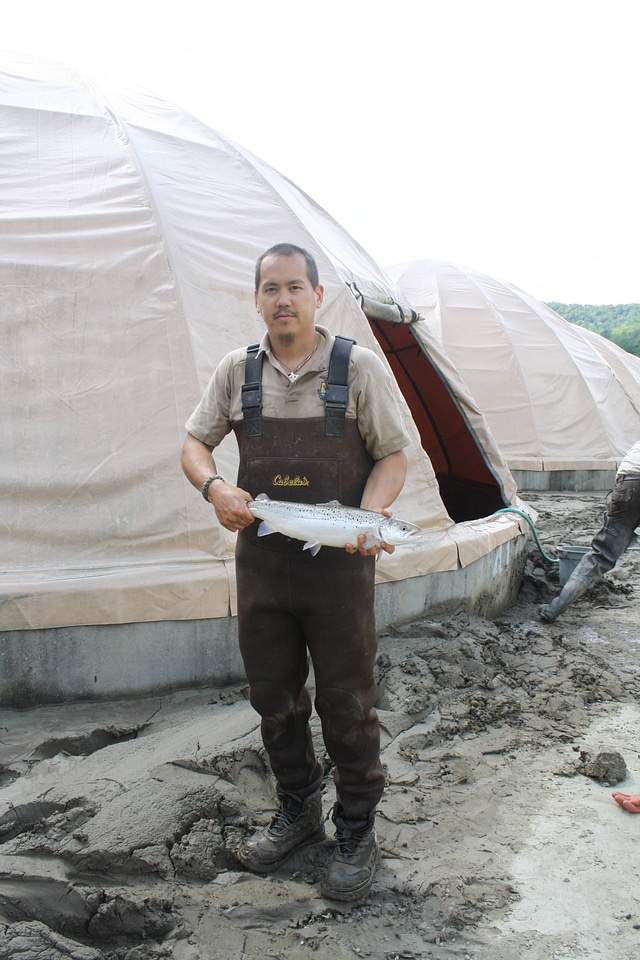 USFWS technician with Atlantic salmon