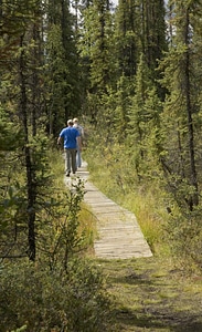 Visitors walking on a wooden walking trail through forest photo