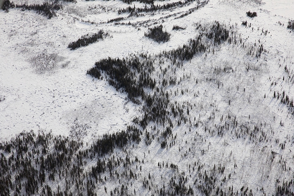 Yukon Flats landscape