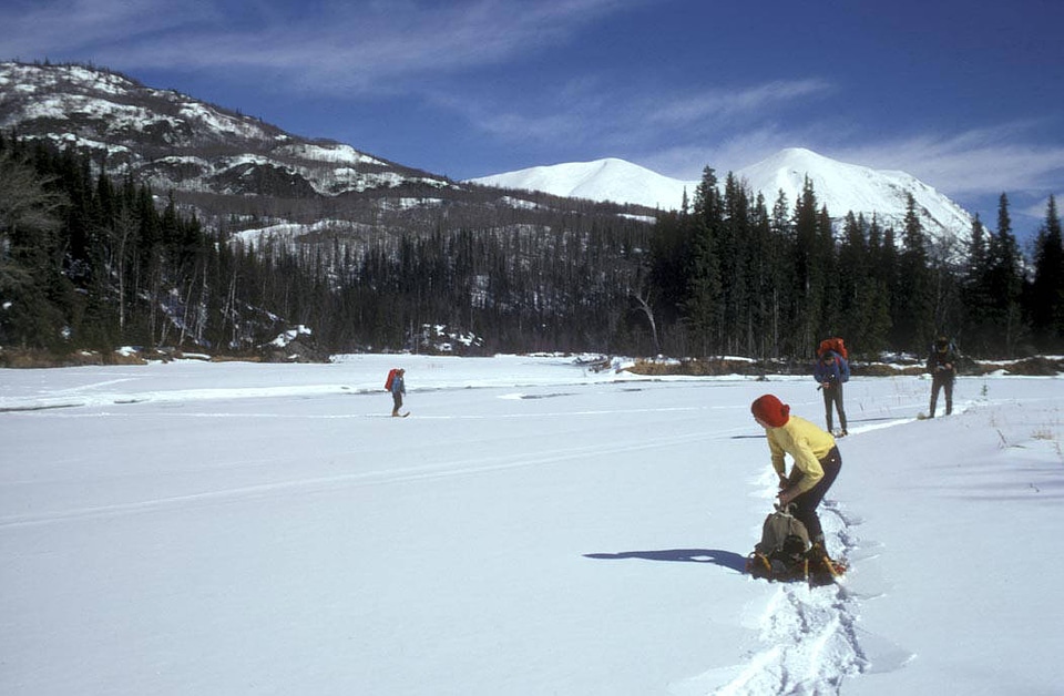 Snowshoeing in Refuge