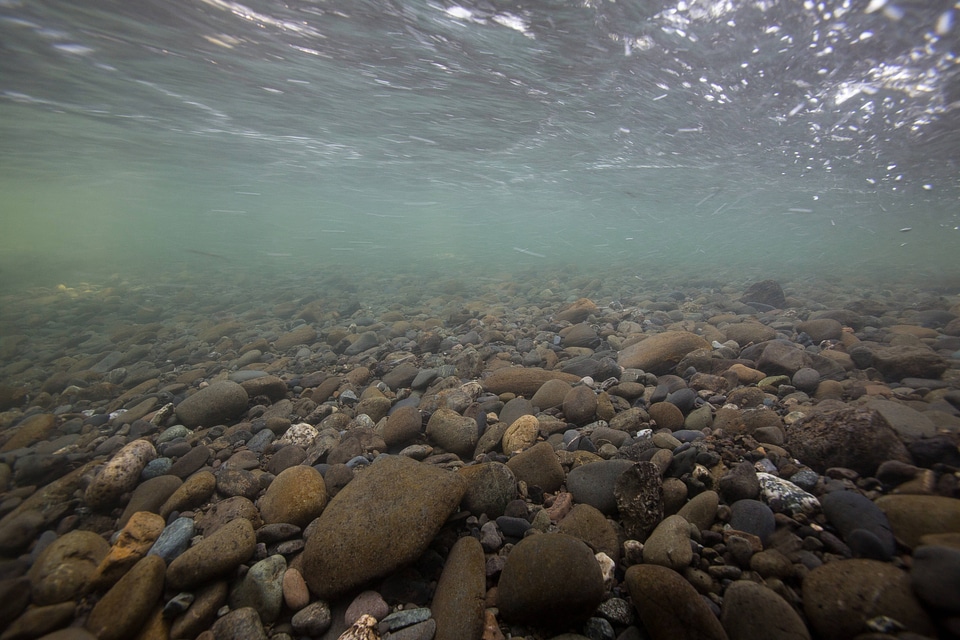 Gravel stream bottom on Ship Creek-1