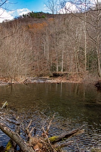 Beaver dam in brook trout pond photo