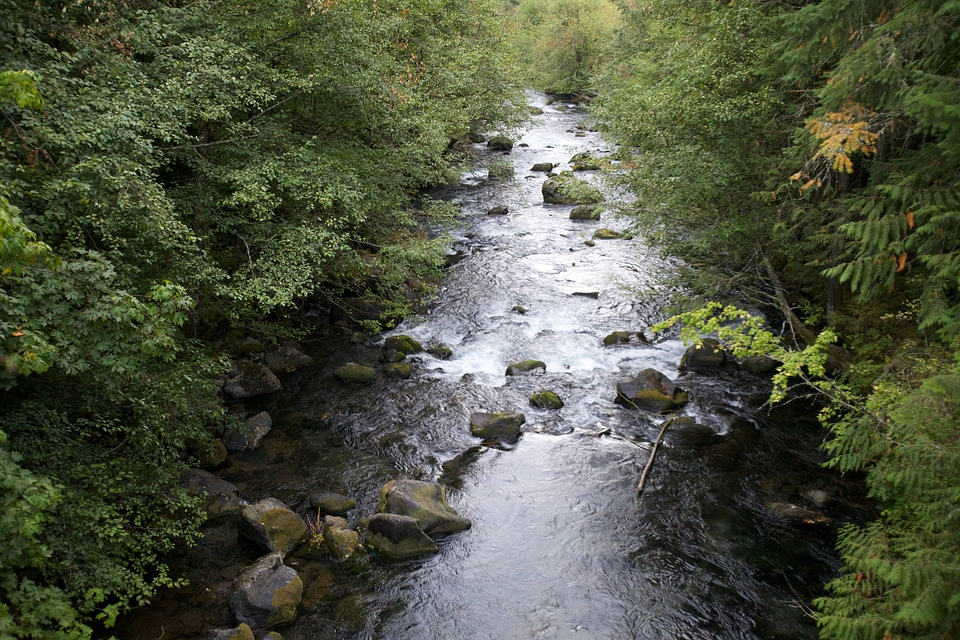 Scenic of the Little White Salmon River-3 photo