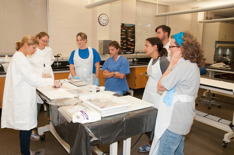 Marine Mammal Stranding Course at NCTC-3