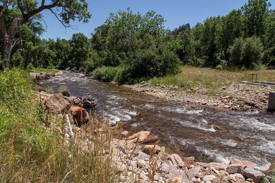 Free flowing stream-5