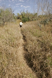Illegal alien activity-2