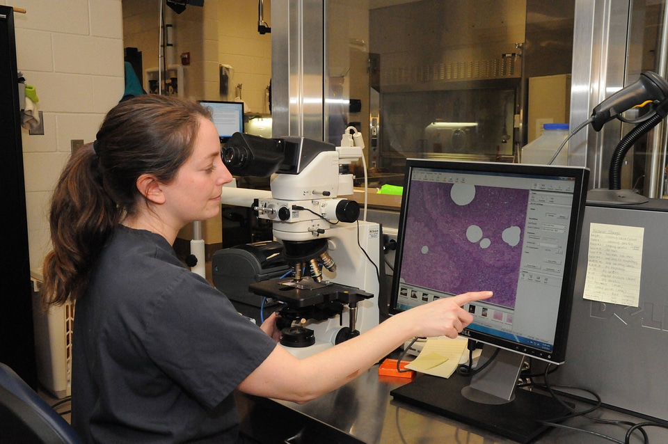 Ashland Forensics Lab-3
